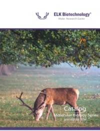 ELK Productos de Biología Molecular